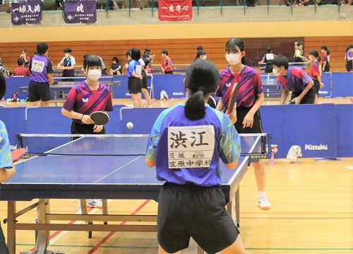 image7 image7