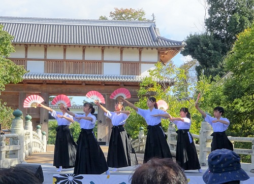 DSC02875 DSC02875