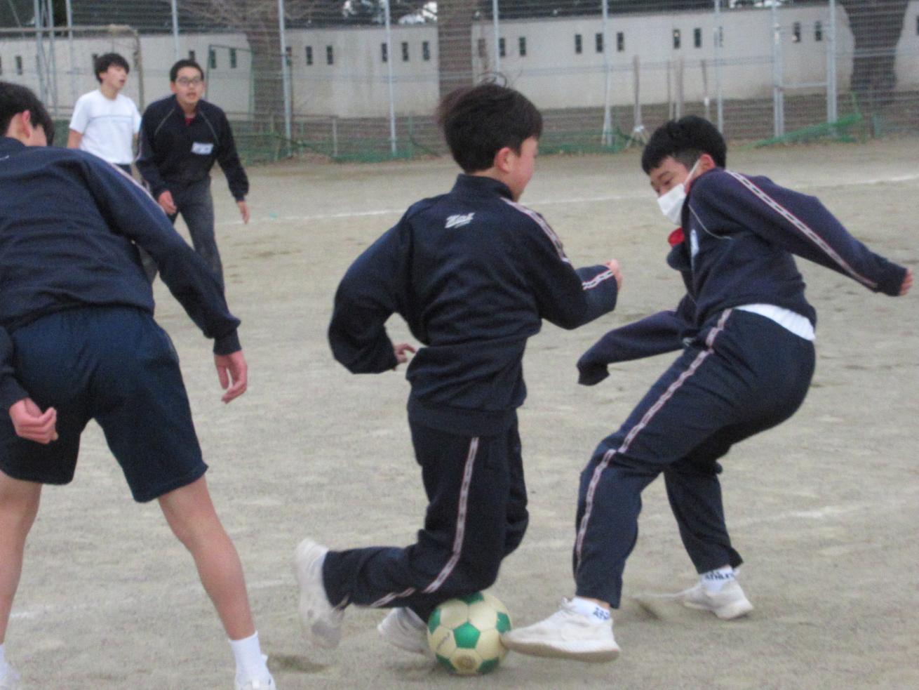 IMG_2798 IMG_2798
