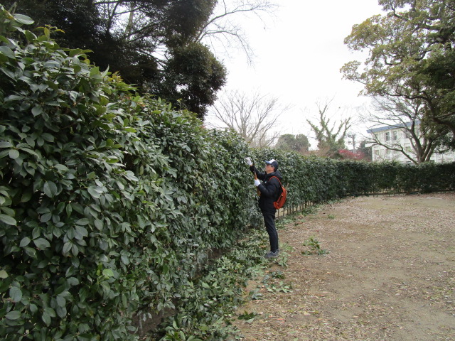 IMG_5837 IMG_5837