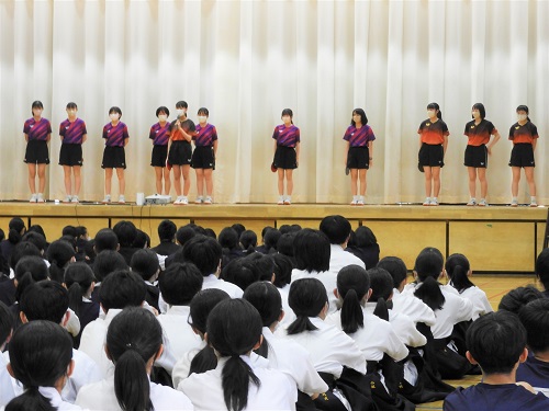 女卓 女卓