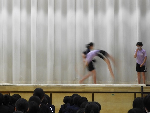 体操 体操
