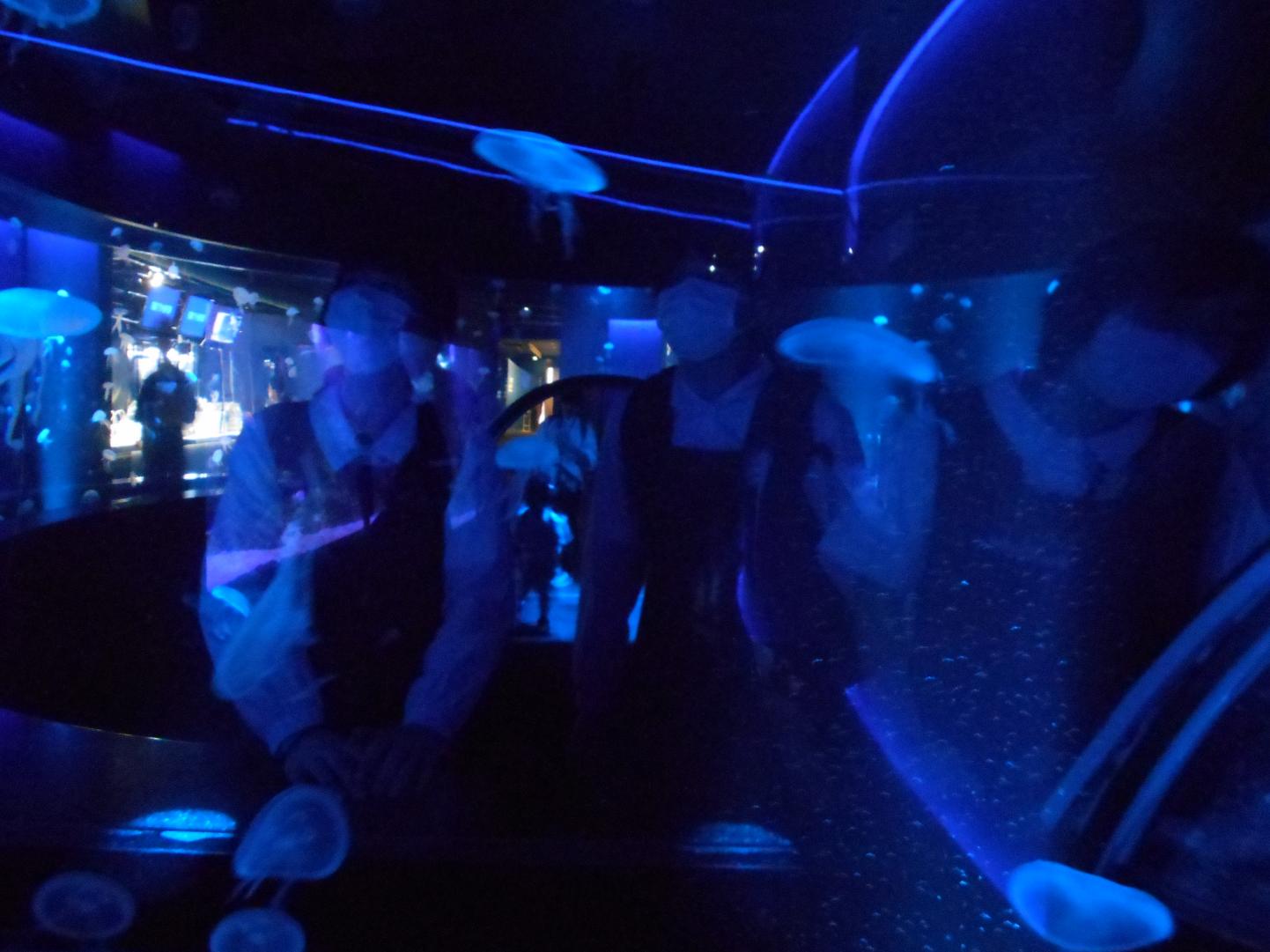 DSCN0109 DSCN0109
