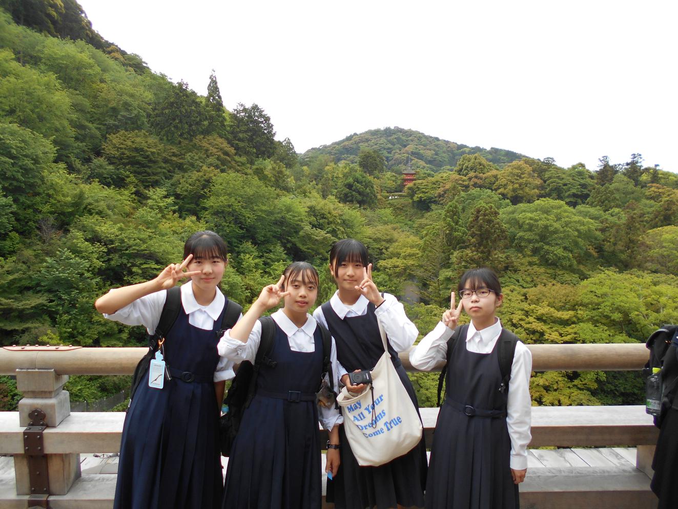 DSCN0668 DSCN0668