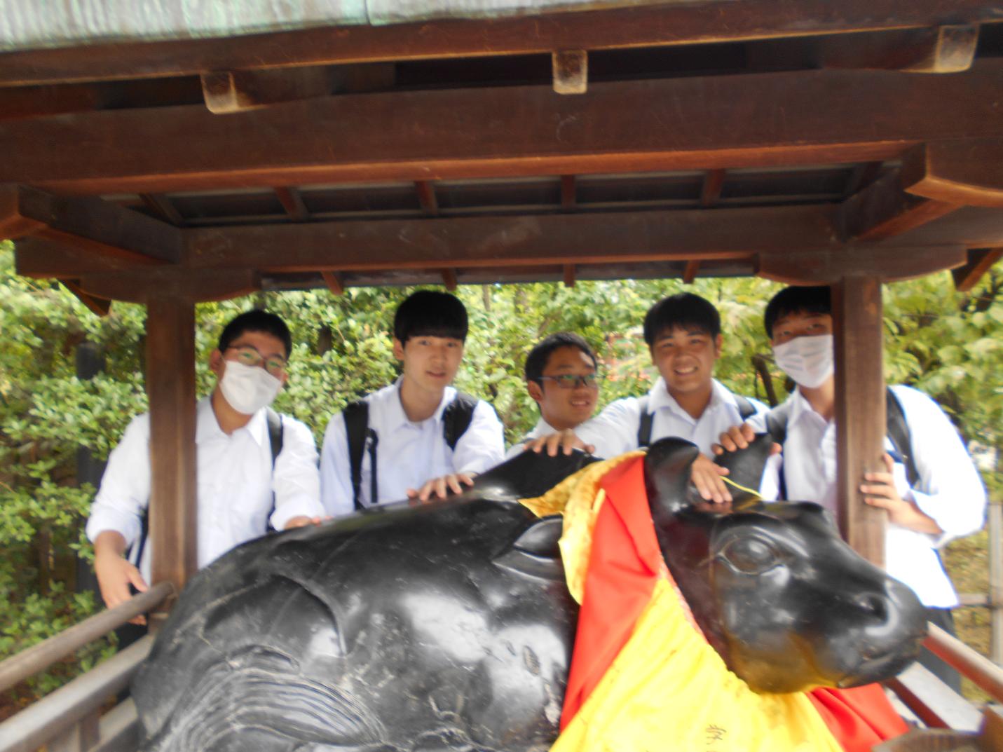 DSCN0433 DSCN0433