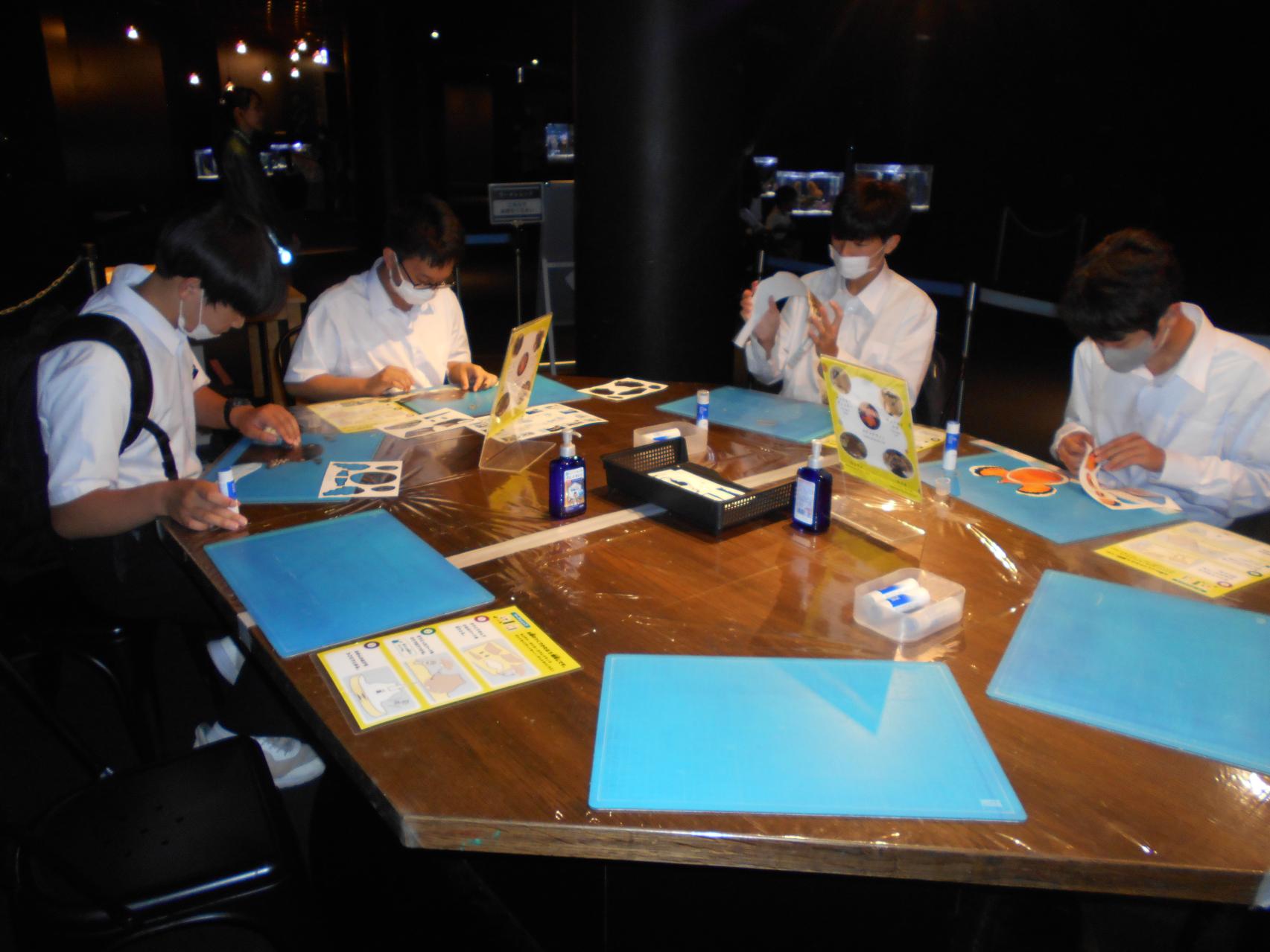DSCN0222 DSCN0222