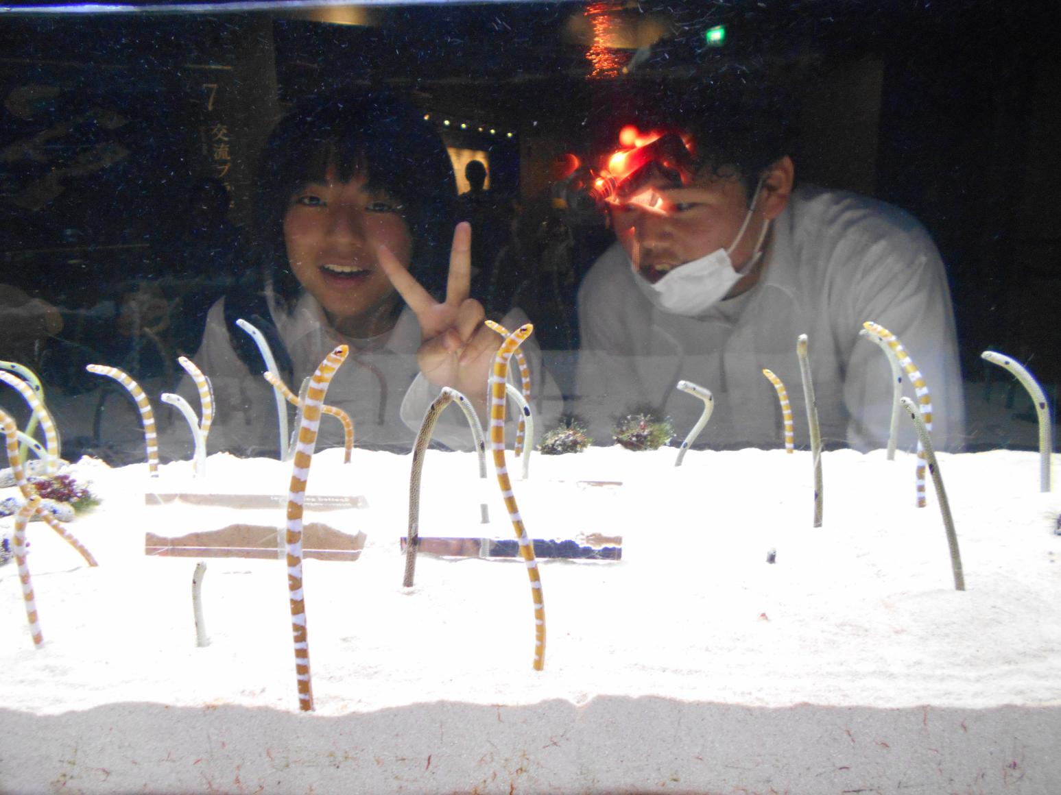 DSCN1086 DSCN1086
