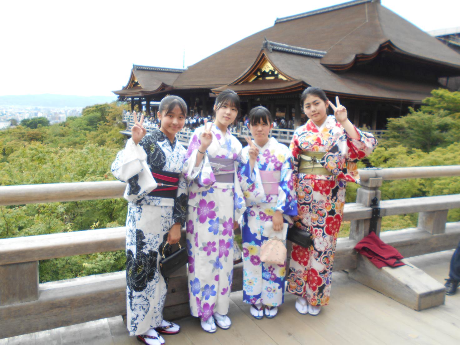 DSCN0206 DSCN0206