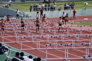 image1 image1