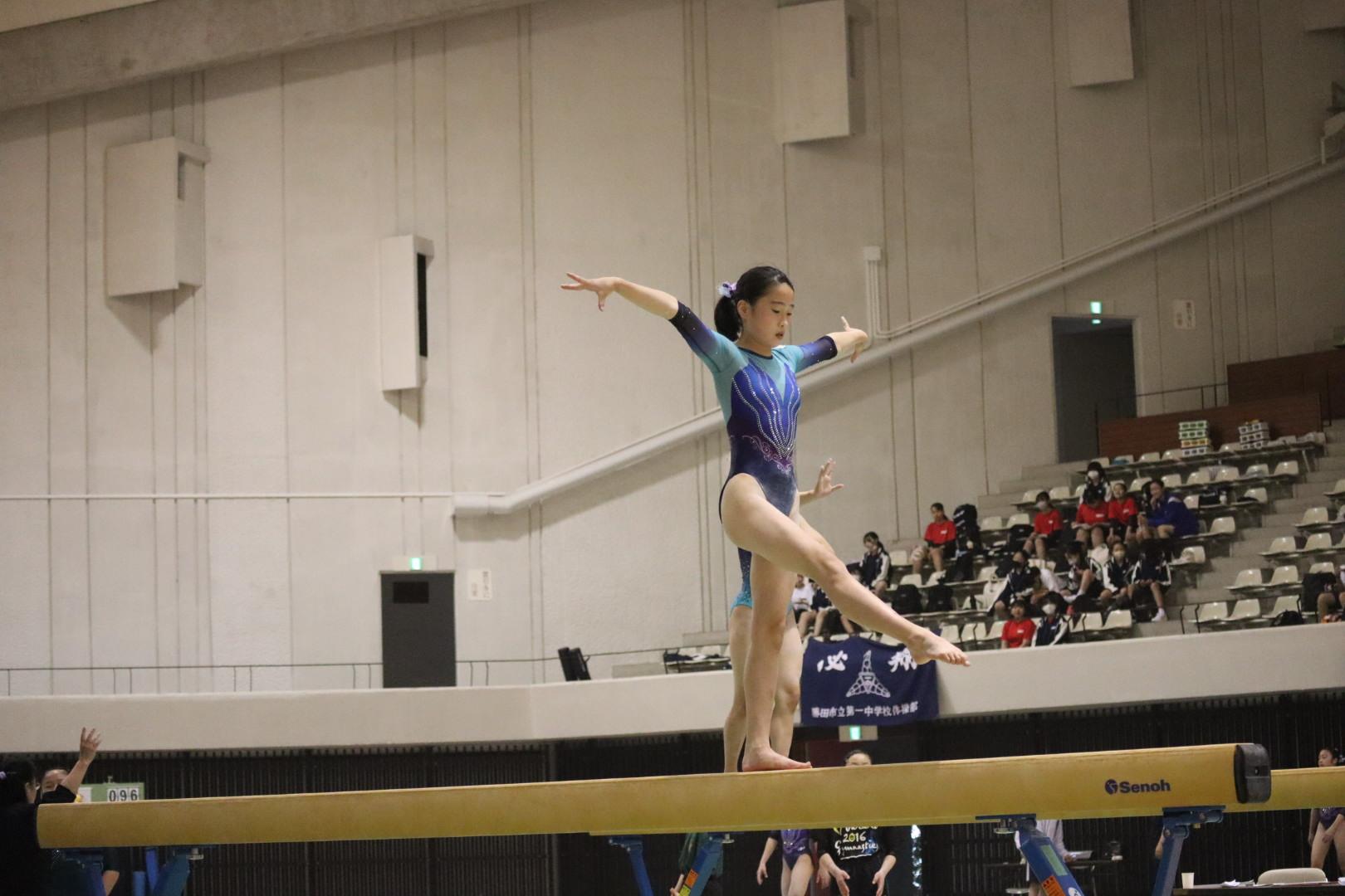 yuzu2 yuzu2