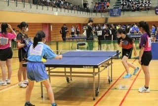 女卓1 女卓1