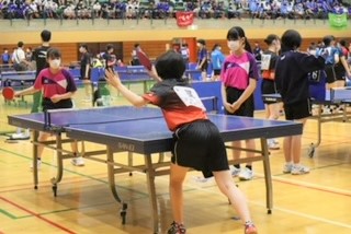 女卓3 女卓3