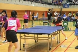 女卓4 女卓4