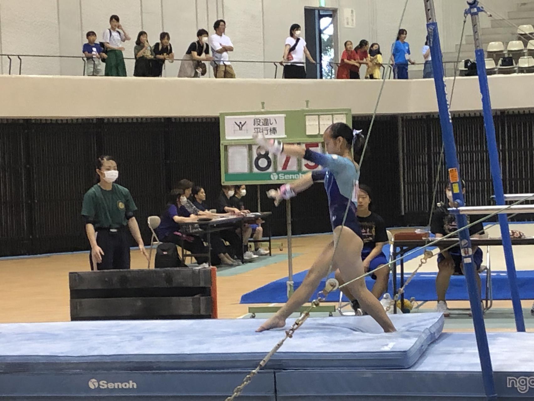 3 3
