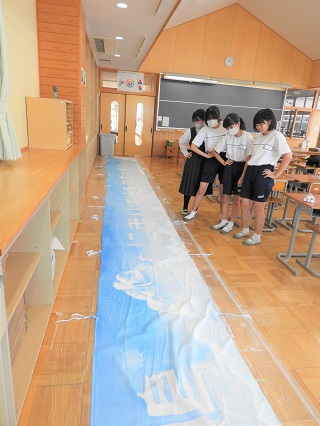 DSCN2805 DSCN2805