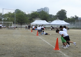 1年1 1年1