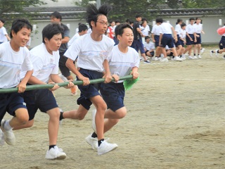 1年3 1年3