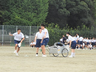 3年1 3年1