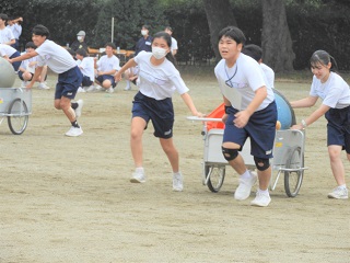 3年5 3年5