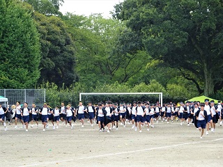 ソ―ラン1 ソ―ラン1