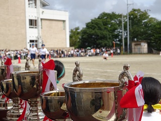DSC03669 DSC03669