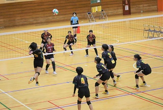 image1 (2) image1 (2)