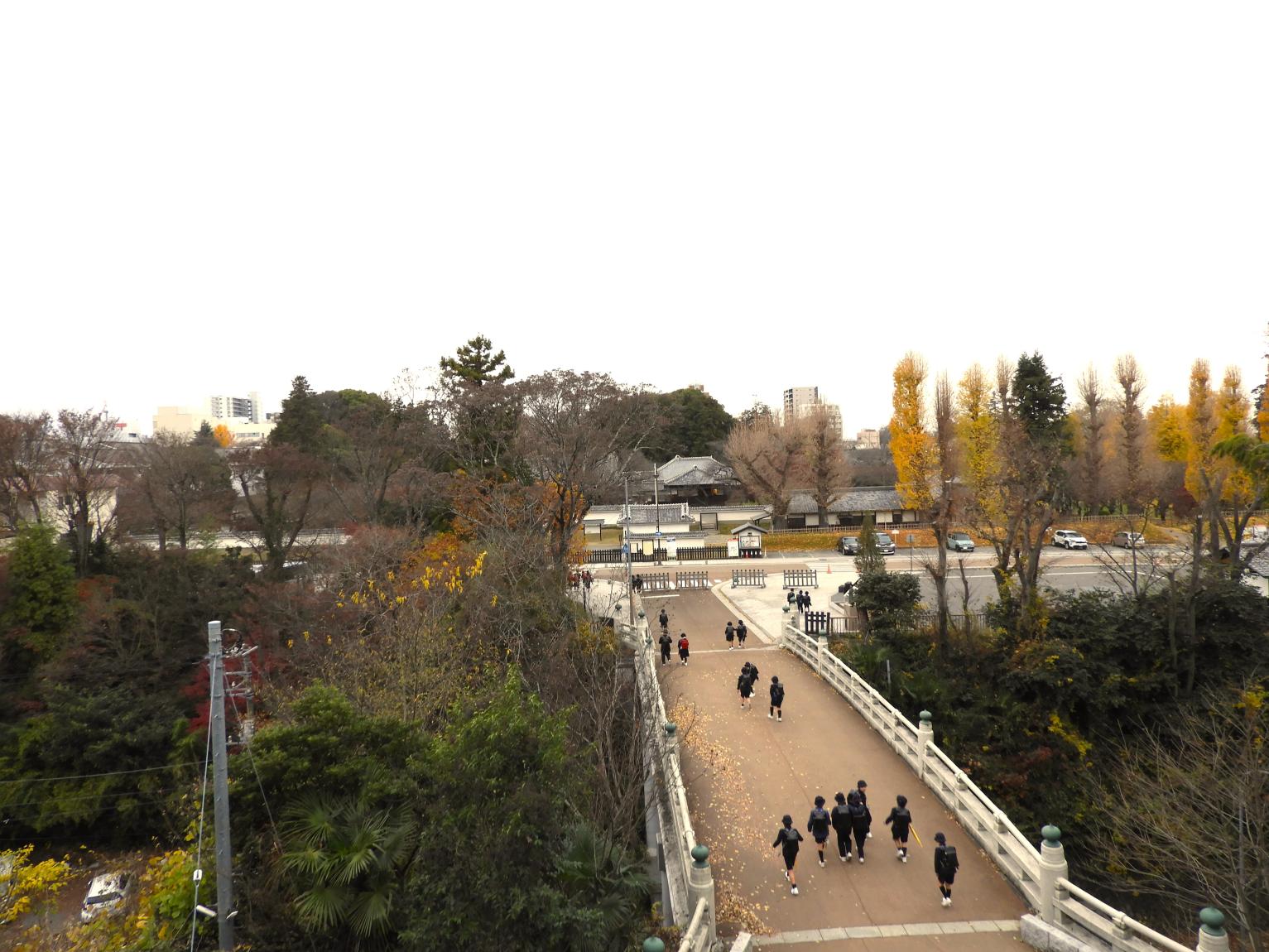 DSCN4294 DSCN4294
