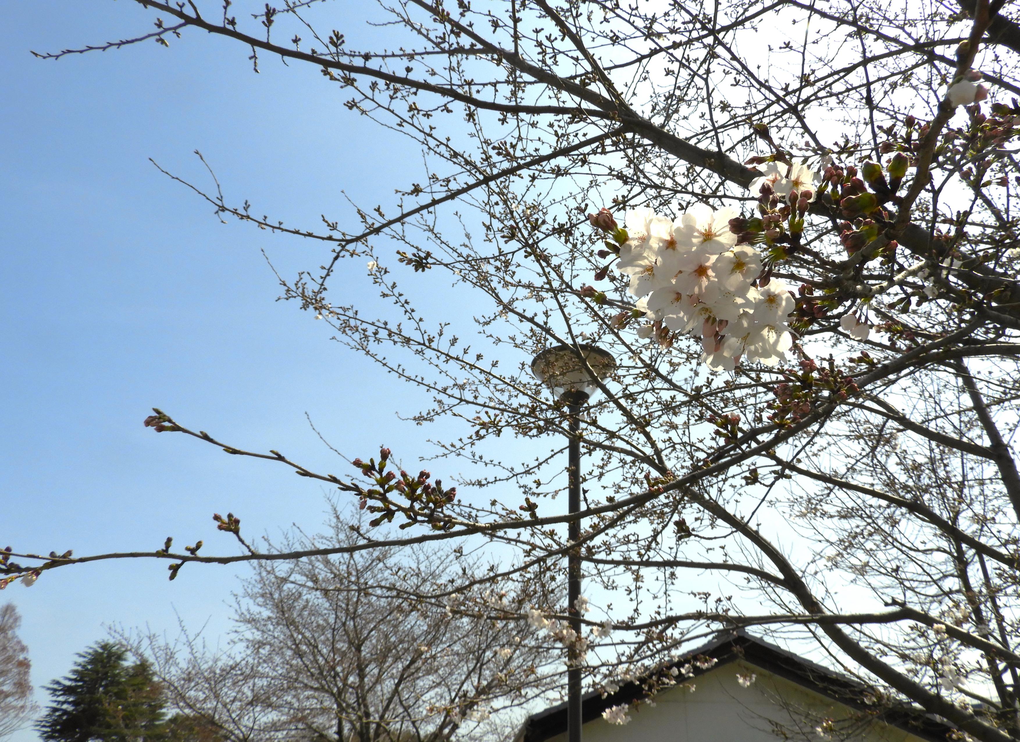 DSCN4926 DSCN4926