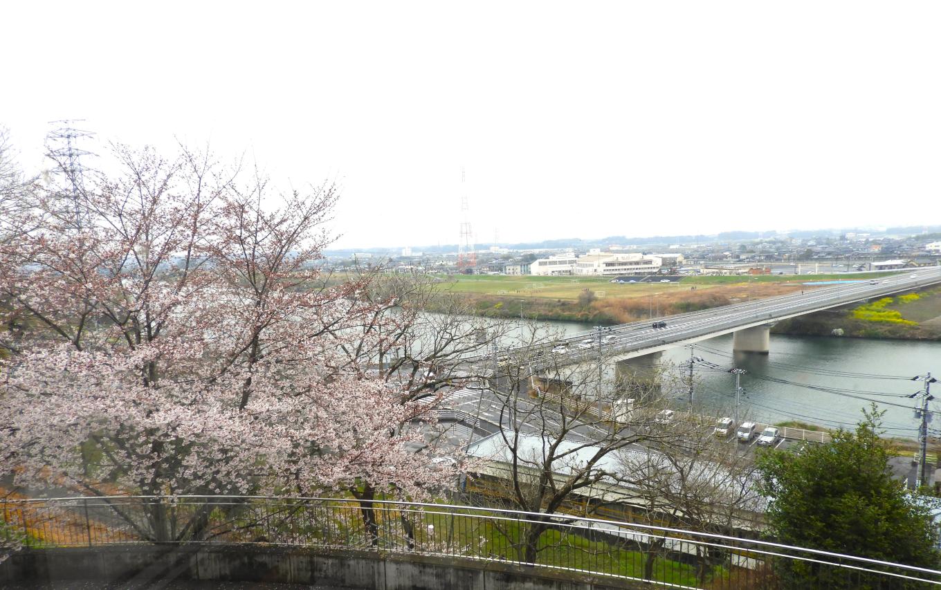 DSCN4933 DSCN4933