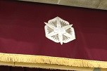DSCN5134