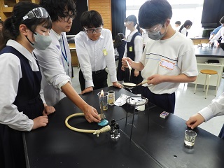 DSCN5364 DSCN5364
