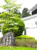 DSCN5380