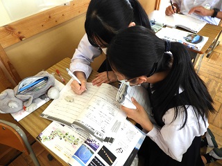DSCN5533 DSCN5533