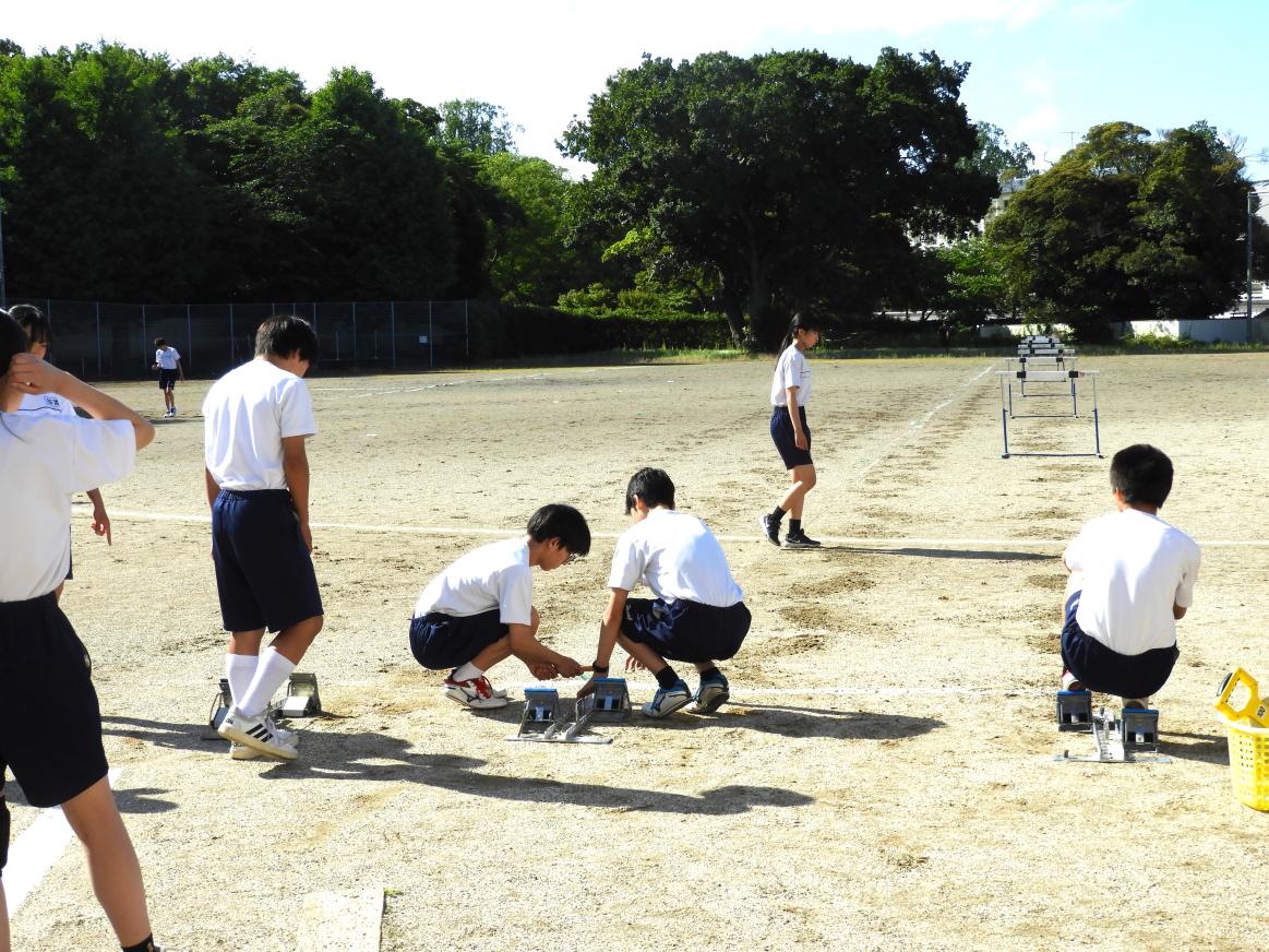 DSCN5556 DSCN5556