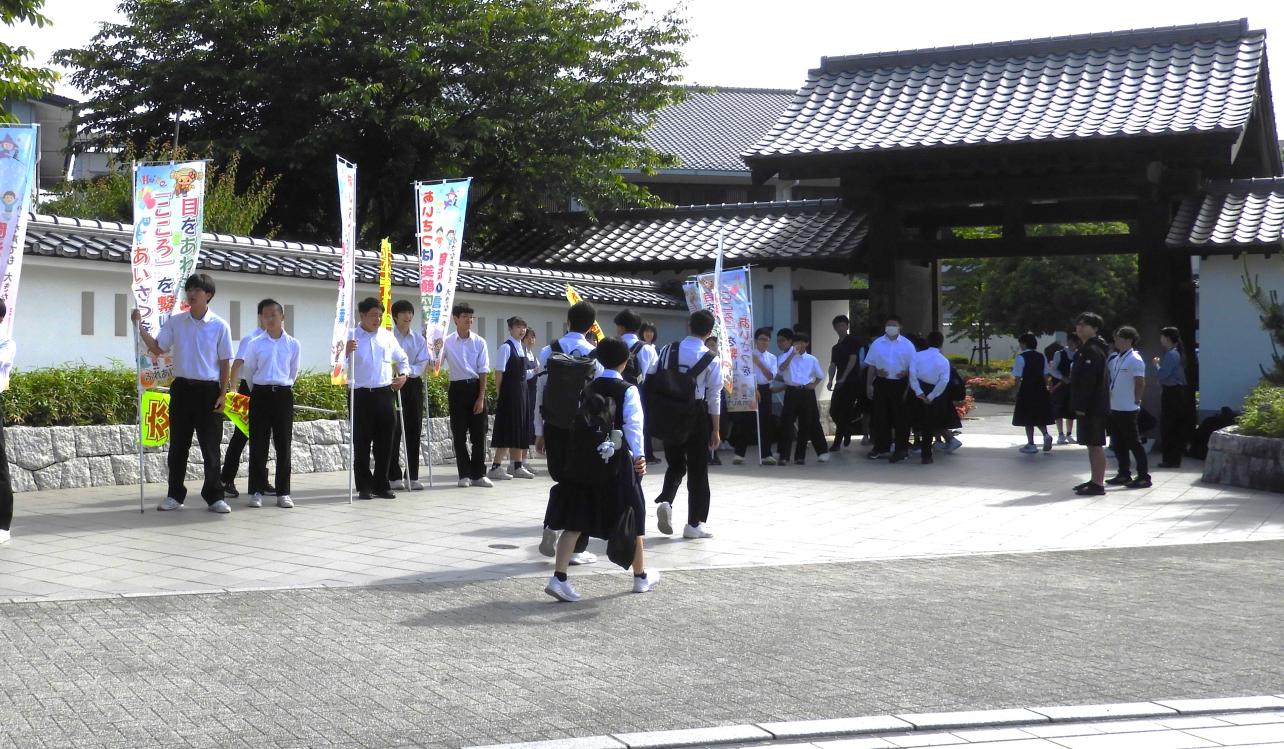 DSCN5564 DSCN5564