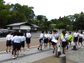 DSCN5733 DSCN5733