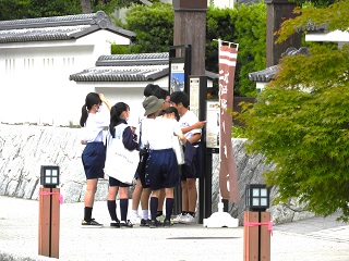DSCN5737 DSCN5737
