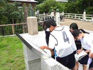 DSCN5719 DSCN5719