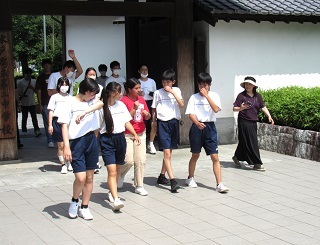 IMG_1762 IMG_1762