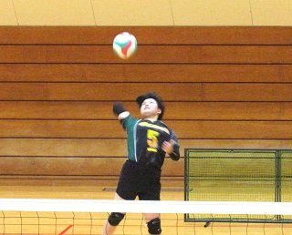 IMG_1847 IMG_1847