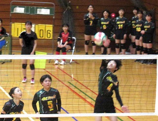 IMG_1880 IMG_1880