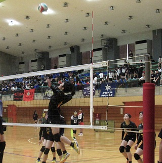 IMG_1899 IMG_1899