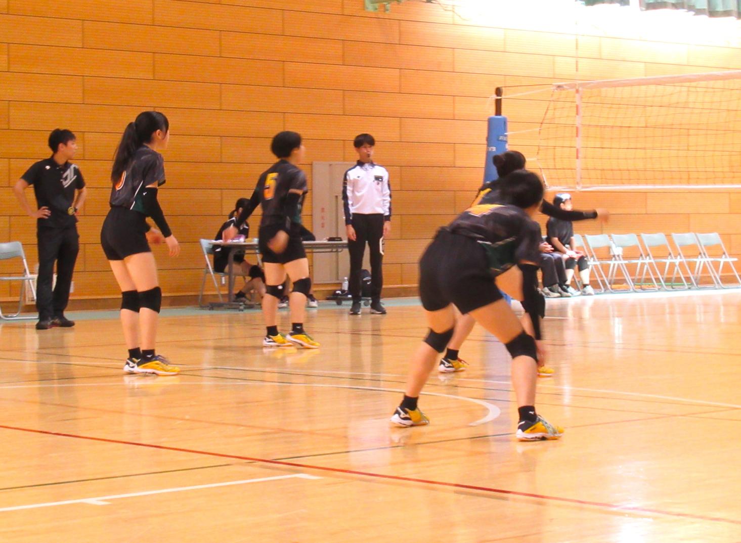IMG_1225 IMG_1225