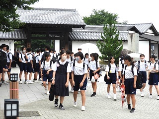 DSCN5996 DSCN5996