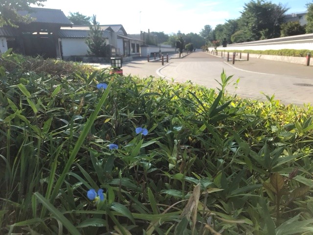 image0 image0