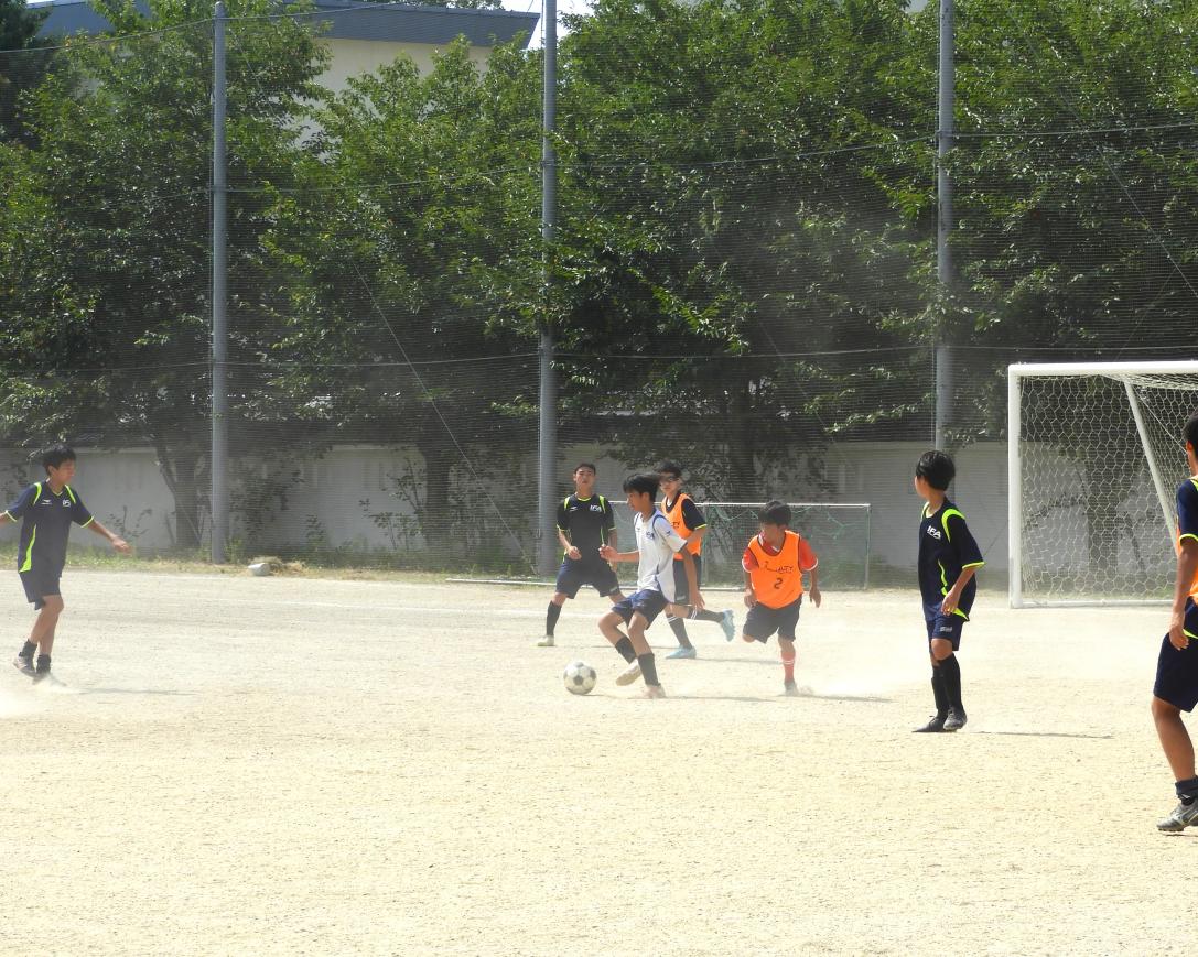 DSCN6245 DSCN6245