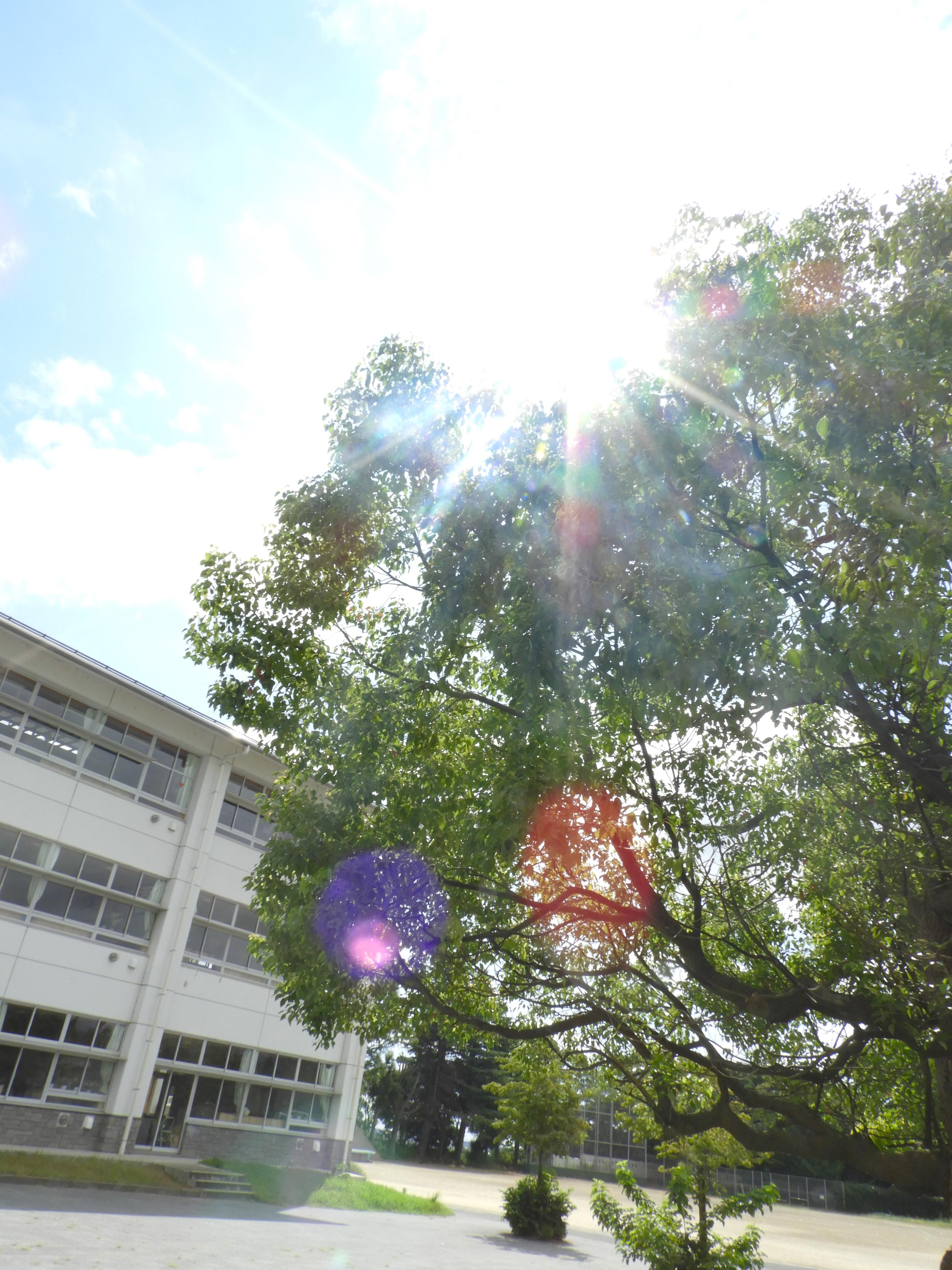 DSCN6313 DSCN6313