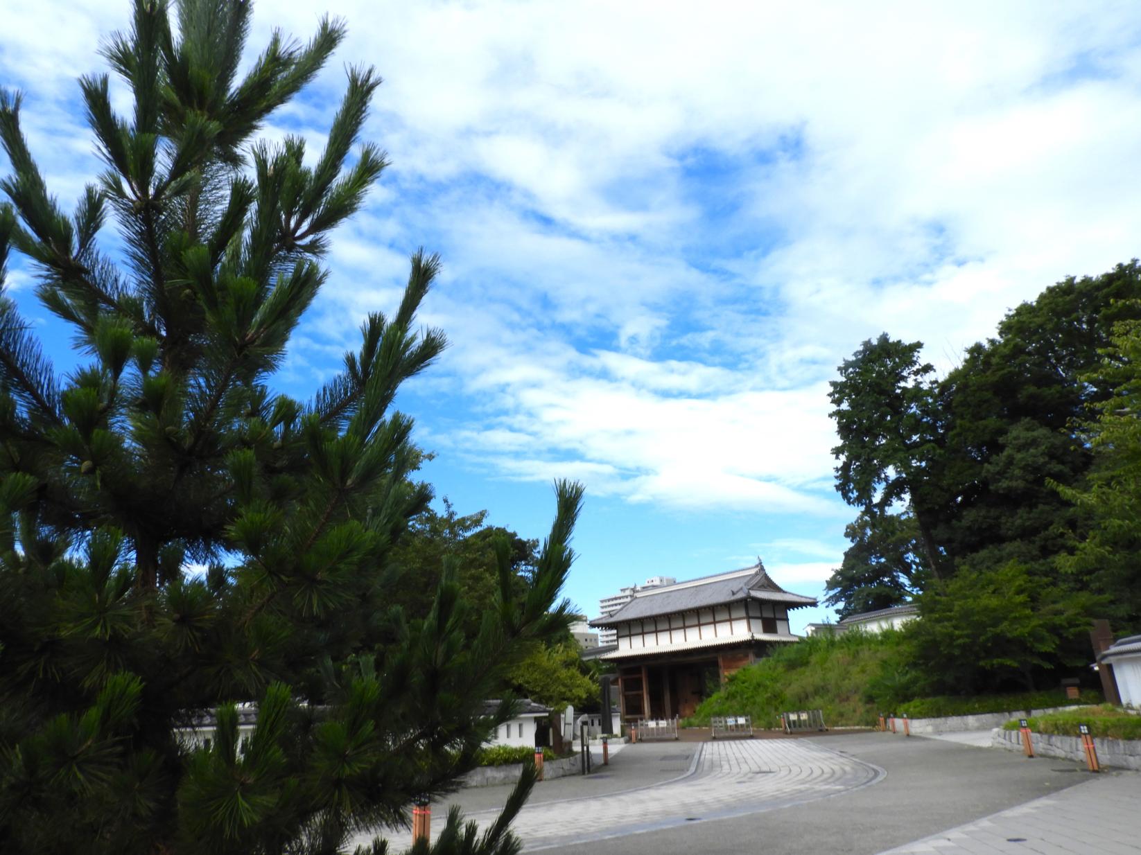 DSCN6366