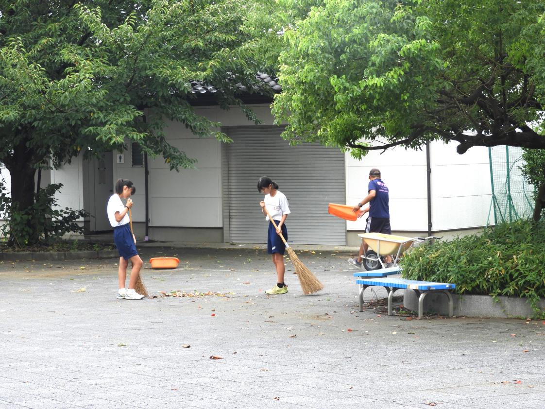 DSCN6380 DSCN6380