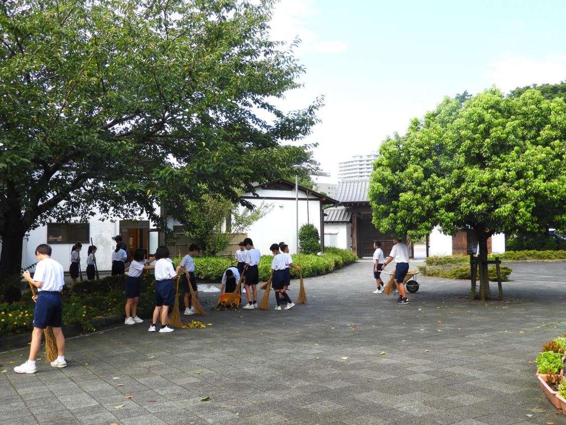 DSCN6392 DSCN6392
